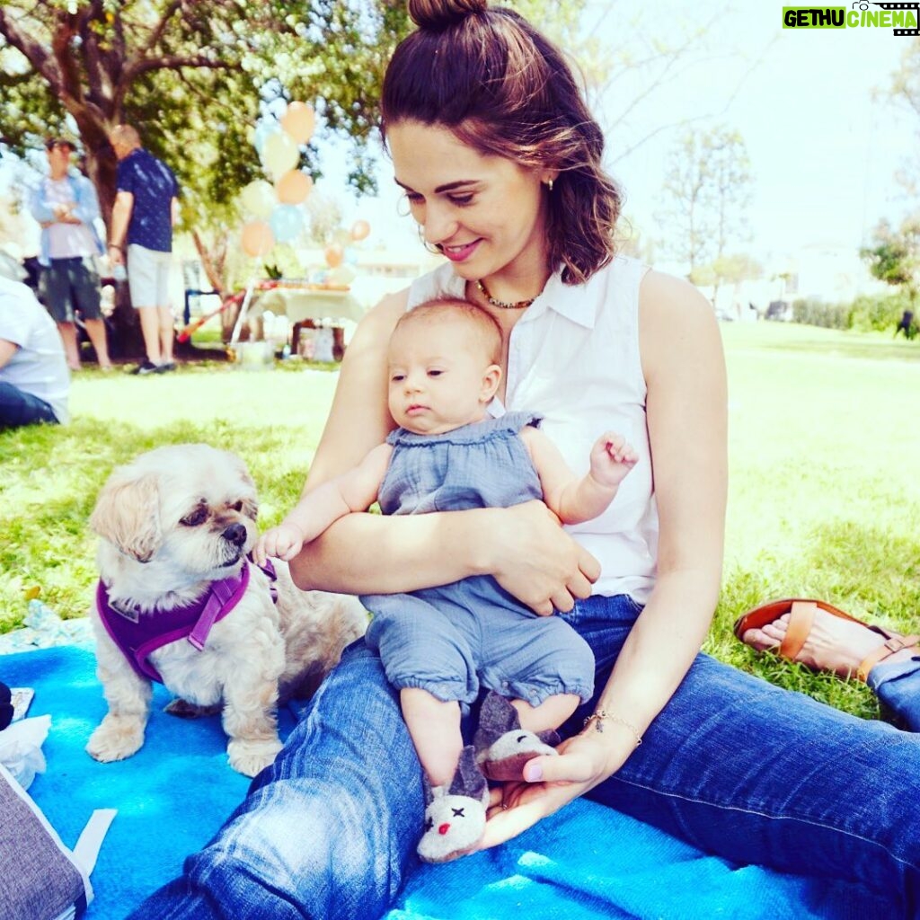 Lyndsy Fonseca Instagram - Romi:2005-2021. She’s been with me through it all. Starting at 19. I was a baby. But she was my baby at just 8 weeks. We traveled to so many places. She was my best friend. My companion during so many new hotels. New jobs. New states. New trailers. She was with me every step of the way. Always quiet when we were rolling on set, and always charming the crew. She was teaching me how to be a mother. How to give love unconditionally and selflessly. She was tough as nails. She treed a bear! True story. She played hard with big dogs. Not a lap dog. She was independent and self assured. Her favorite was east coast autumn weather. Chilly days at the beach with low tide, that’s when she’d hop like a bunny. She loved people. And people loved her. Wasn’t a fan of Greta during her pulling hair faze. But even then she learned. And they eventually became great pals. She’d look up at me while Greta would walk her on leash and I knew she was humoring Greta. Allowing the chaos of it all. Obsessed with table scraps and any treat. Wasn’t a fan of hot days. Until the end. Her last few days the sun was calling her name. She was searching for the other side. Wanting to be alone and bask in the light in our backyard. She stopped wanting treats. She didn’t have the energy anymore. She told me with her eyes that she was ready. My sweet girl. I’ll forever be grateful of the adventures we took. The joy she gave me. The laughter. Today I feel an emptiness I can’t imagine will ever go away. This sadness is deeper than I expected. But I know time will heal. Noah reminded me that to honor her we must remember to feel the wet sand under our feet and take the long walks like we did with her and feel the breeze just like she reminded us to do in her life. Live every moment in its fullest. I love you Romi. Thank you for being my everything for 16 wonderful years. She died in our arms in a sunny spot in our yard with a vet who helped her fall asleep peacefully. She looked in my eyes and we said goodbye. See you on the other side sweet girl.