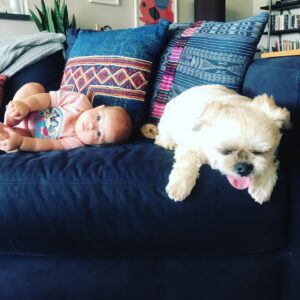 Lyndsy Fonseca Instagram - Romi:2005-2021.  She’s been with me through it all. Starting at 19. I was a baby. But she was my baby at just 8 weeks. We traveled to so many places. She was my best friend. My companion during so many new hotels. New jobs. New states. New trailers. She was with me every step of the way. Always quiet when we were rolling on set, and always charming the crew. She was teaching me how to be a mother. How to give love unconditionally and selflessly. She was tough as nails. She treed a bear! True story. She played hard with big dogs. Not a lap dog. She was independent and self assured. Her favorite was east coast autumn weather. Chilly days at the beach with low tide, that’s when she’d hop like a bunny. She loved people. And people loved her. Wasn’t a fan of Greta during her pulling hair faze. But even then she learned. And they eventually became great pals. She’d look up at me while Greta would walk her on leash and I knew she was humoring Greta. Allowing the chaos of it all. Obsessed with table scraps and any treat. Wasn’t a fan of hot days. Until the end. Her last few days the sun was calling her name. She was searching for the other side. Wanting to be alone and bask in the light in our backyard. She stopped wanting treats. She didn’t have the energy anymore. She told me with her eyes that she was ready. My sweet girl. I’ll forever be grateful of the adventures we took. The joy she gave me. The laughter. Today I feel an emptiness I can’t imagine will ever go away. This sadness is deeper than I expected. But I know time will heal. Noah reminded me that to honor her we must remember to feel the wet sand under our feet and take the long walks like we did with her and feel the breeze just like she reminded us to do in her life. Live every moment in its fullest. I love you Romi. Thank you for being my everything for 16 wonderful years. She died in our arms in a sunny spot in our yard with a vet who helped her fall asleep peacefully. She looked in my eyes and we said goodbye. See you on the other side sweet girl.