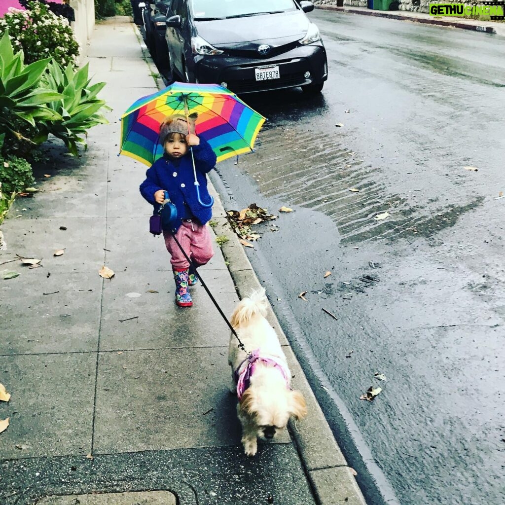 Lyndsy Fonseca Instagram - Romi:2005-2021. She’s been with me through it all. Starting at 19. I was a baby. But she was my baby at just 8 weeks. We traveled to so many places. She was my best friend. My companion during so many new hotels. New jobs. New states. New trailers. She was with me every step of the way. Always quiet when we were rolling on set, and always charming the crew. She was teaching me how to be a mother. How to give love unconditionally and selflessly. She was tough as nails. She treed a bear! True story. She played hard with big dogs. Not a lap dog. She was independent and self assured. Her favorite was east coast autumn weather. Chilly days at the beach with low tide, that’s when she’d hop like a bunny. She loved people. And people loved her. Wasn’t a fan of Greta during her pulling hair faze. But even then she learned. And they eventually became great pals. She’d look up at me while Greta would walk her on leash and I knew she was humoring Greta. Allowing the chaos of it all. Obsessed with table scraps and any treat. Wasn’t a fan of hot days. Until the end. Her last few days the sun was calling her name. She was searching for the other side. Wanting to be alone and bask in the light in our backyard. She stopped wanting treats. She didn’t have the energy anymore. She told me with her eyes that she was ready. My sweet girl. I’ll forever be grateful of the adventures we took. The joy she gave me. The laughter. Today I feel an emptiness I can’t imagine will ever go away. This sadness is deeper than I expected. But I know time will heal. Noah reminded me that to honor her we must remember to feel the wet sand under our feet and take the long walks like we did with her and feel the breeze just like she reminded us to do in her life. Live every moment in its fullest. I love you Romi. Thank you for being my everything for 16 wonderful years. She died in our arms in a sunny spot in our yard with a vet who helped her fall asleep peacefully. She looked in my eyes and we said goodbye. See you on the other side sweet girl.