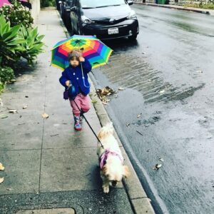 Lyndsy Fonseca Instagram - Romi:2005-2021.  She’s been with me through it all. Starting at 19. I was a baby. But she was my baby at just 8 weeks. We traveled to so many places. She was my best friend. My companion during so many new hotels. New jobs. New states. New trailers. She was with me every step of the way. Always quiet when we were rolling on set, and always charming the crew. She was teaching me how to be a mother. How to give love unconditionally and selflessly. She was tough as nails. She treed a bear! True story. She played hard with big dogs. Not a lap dog. She was independent and self assured. Her favorite was east coast autumn weather. Chilly days at the beach with low tide, that’s when she’d hop like a bunny. She loved people. And people loved her. Wasn’t a fan of Greta during her pulling hair faze. But even then she learned. And they eventually became great pals. She’d look up at me while Greta would walk her on leash and I knew she was humoring Greta. Allowing the chaos of it all. Obsessed with table scraps and any treat. Wasn’t a fan of hot days. Until the end. Her last few days the sun was calling her name. She was searching for the other side. Wanting to be alone and bask in the light in our backyard. She stopped wanting treats. She didn’t have the energy anymore. She told me with her eyes that she was ready. My sweet girl. I’ll forever be grateful of the adventures we took. The joy she gave me. The laughter. Today I feel an emptiness I can’t imagine will ever go away. This sadness is deeper than I expected. But I know time will heal. Noah reminded me that to honor her we must remember to feel the wet sand under our feet and take the long walks like we did with her and feel the breeze just like she reminded us to do in her life. Live every moment in its fullest. I love you Romi. Thank you for being my everything for 16 wonderful years. She died in our arms in a sunny spot in our yard with a vet who helped her fall asleep peacefully. She looked in my eyes and we said goodbye. See you on the other side sweet girl.