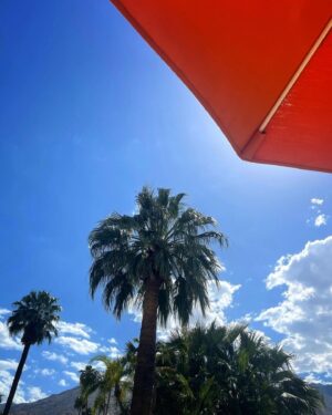 Lynn Collins Instagram - @thetwist.palmsprings THANK YOU for helping me #pregame for this birthday 💕🧡💕
The hospitality and chill vibes were a sweet balm to my soul 🩵 🩶 🩵 🩶 🩵 🩶 🩵 🩶🩵

Thank you @hilovetravel for the super cool #crossbodybag 🩶

#palmsprings #poolside #stars #palms @vionicshoes #happybirthday #pink #desert #desertlife @vans