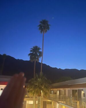 Lynn Collins Instagram - @thetwist.palmsprings THANK YOU for helping me #pregame for this birthday 💕🧡💕
The hospitality and chill vibes were a sweet balm to my soul 🩵 🩶 🩵 🩶 🩵 🩶 🩵 🩶🩵

Thank you @hilovetravel for the super cool #crossbodybag 🩶

#palmsprings #poolside #stars #palms @vionicshoes #happybirthday #pink #desert #desertlife @vans