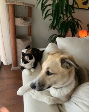 Lyrica Okano Instagram - Like two peas in a pod 💕