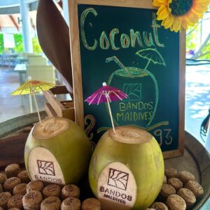 Mélissa Sbenn Instagram - Pilotis cocktail coco 🥥