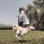 Macarena Miguel Instagram - Un perro feliz 🫶🏻