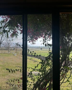 Madhuri Itagi Instagram - Window to heaven 💚