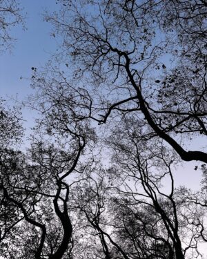 Madhuri Itagi Instagram - Lines around my thoughts !