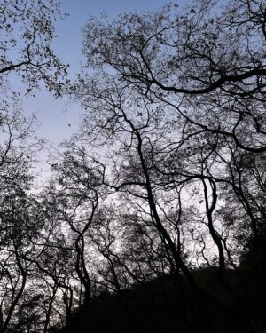 Madhuri Itagi Instagram - Lines around my thoughts !