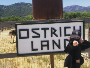 Madison Davenport Instagram - 💫💫Adventure time💫💫
If you need me I’ll be living out my dreams of being a woodland fairy!

Ostriches are cool as hell... but I wouldn’t want to piss one off...👀