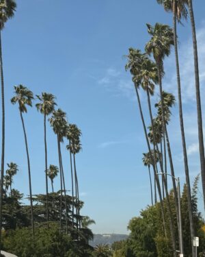 Madison McLaughlin Instagram - hey I was thinking.. what if we just………..stopped caring if people think we’re weird or uncool or cringe and just like……….live our lives instead ? anyway here’s some poems I read this week