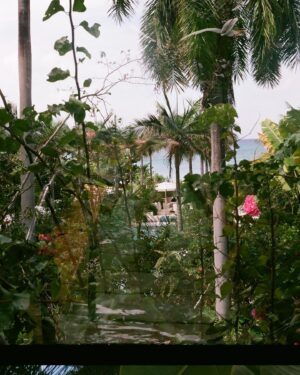 Madison McLaughlin Instagram - 🌴🌊🤭