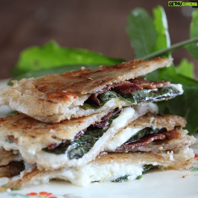 Maggie Beer Instagram - Simple, classic and delicious; the humble toasted sandwich plays a regular role in many weekly menus. But, how can you make your next toastie even more mouthwatering? Try delighting your taste buds with this recipe for a Mozzarella, Pancetta & Basil Toastie via the link in our bio. What is your favourite deluxe toasted sandwich?