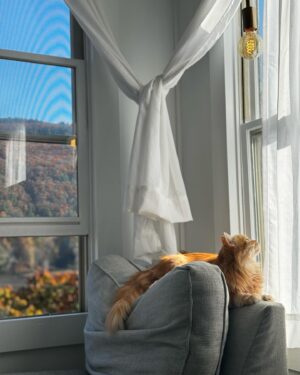 Maggie Geha Instagram - ☁️ 🐱 ⛰️