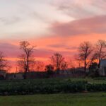 Maggie Grace Instagram – A warm thank you to Miss Carol Anne & @boggycreekfarmstand for sharing their special urban farm with us, it was heaven; Farmstays include a free dog named Buddy! ;)
🥬🥕🥚👩🏼‍🌾🐓🐕 #texasfarmsandranches #urbanfarms #sustainableagriculture