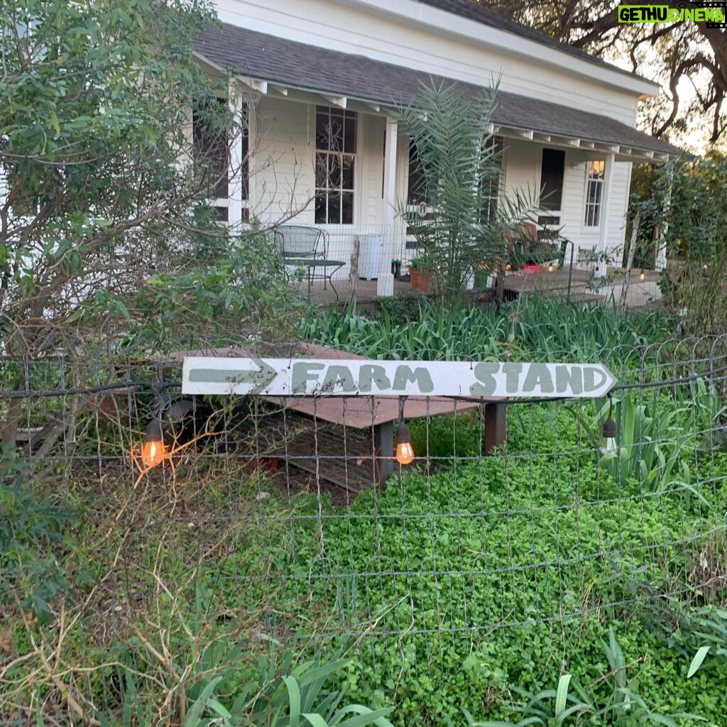 Maggie Grace Instagram - A warm thank you to Miss Carol Anne & @boggycreekfarmstand for sharing their special urban farm with us, it was heaven; Farmstays include a free dog named Buddy! ;) 🥬🥕🥚👩🏼‍🌾🐓🐕 #texasfarmsandranches #urbanfarms #sustainableagriculture