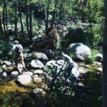 Maggie Grace Instagram – Hikes with my dad and brother 🌲❤️ This is truly the Good Stuff in life. #leavenotrace #hikingbuddies #lucky