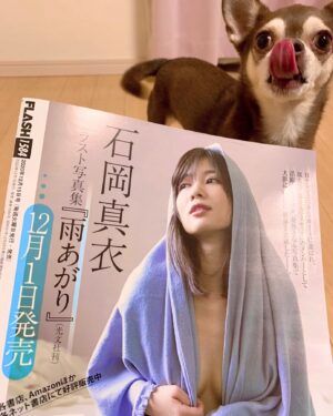 Mai Ishioka Instagram - .
今発売中のFLASHさんの裏表紙をやらせて頂いてます🧏🏻‍♀️
.
もう見てくれたかな？✨
.
FLASHさんにも書いてあったんですが
写真集「雨あがり」発売記念イベントが
2021年1月9日　18:00から
ソフマップAKIBA①号店サブカルモバイル館
が決定しました👏
.
わーいっ💓
絶対きてねええ(*´꒳`*)✨