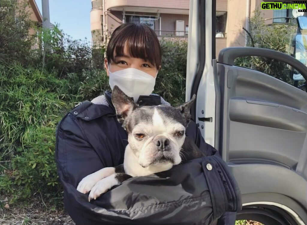 Mai Fukagawa Instagram - #ギバーテイカー 撮影休憩中、スタッフさんのワンちゃんをモフらせていただきました🐶癒し、、