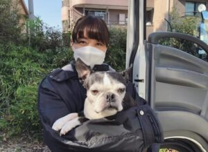 Mai Fukagawa Instagram - #ギバーテイカー
撮影休憩中、スタッフさんのワンちゃんをモフらせていただきました🐶癒し、、