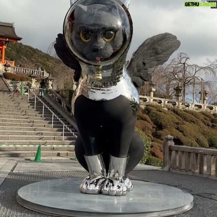 Mai Yoneyama Instagram - 京都清水寺での展示始まりました。ARTISTS' FAIR KYOTO2024 ３月１０日まで！ https://artists-fair.kyoto/ 清水寺会場にはもうひとつ作品を展示しております。 アニメーター、イラストレーターである神絵師　米山舞 さんに漆製の猫の背中に載せるアニメーションを制作していただきました。タイトルは「SHIP'S CAT "Sun Carrier"」(太陽を運ぶもの)です。 サン・チャイルドとサン・シスターが希望の太陽を受け渡す姿をシップス・キャットが運ぶ。漆の職人さんの上質な手技も相まって素敵なコラボレーション作品になっています。 米山舞さんは別会場の京都新聞社地下でも素晴らしい作品を出展されています。(こちらは３月３日迄) 併せて是非！