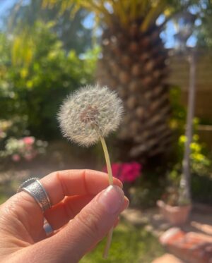 Maiara Walsh Instagram - 🍃🌬️