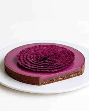 Maja Vase Instagram - Blackberry hazelnut chocolate tart 💘 My kind of therapy 🌸🧘🏼‍♀️ Send a 💗 for recipe and support 🫶🏻