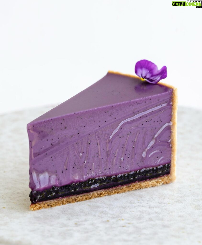 Maja Vase Instagram - Wild blueberry buttermilk tart 🔮💜 with the most silky texture, one million vanilla dots, and crazy, natural colours 🙌🏻 Hit the 💜 for recipe! #koldskålstærte