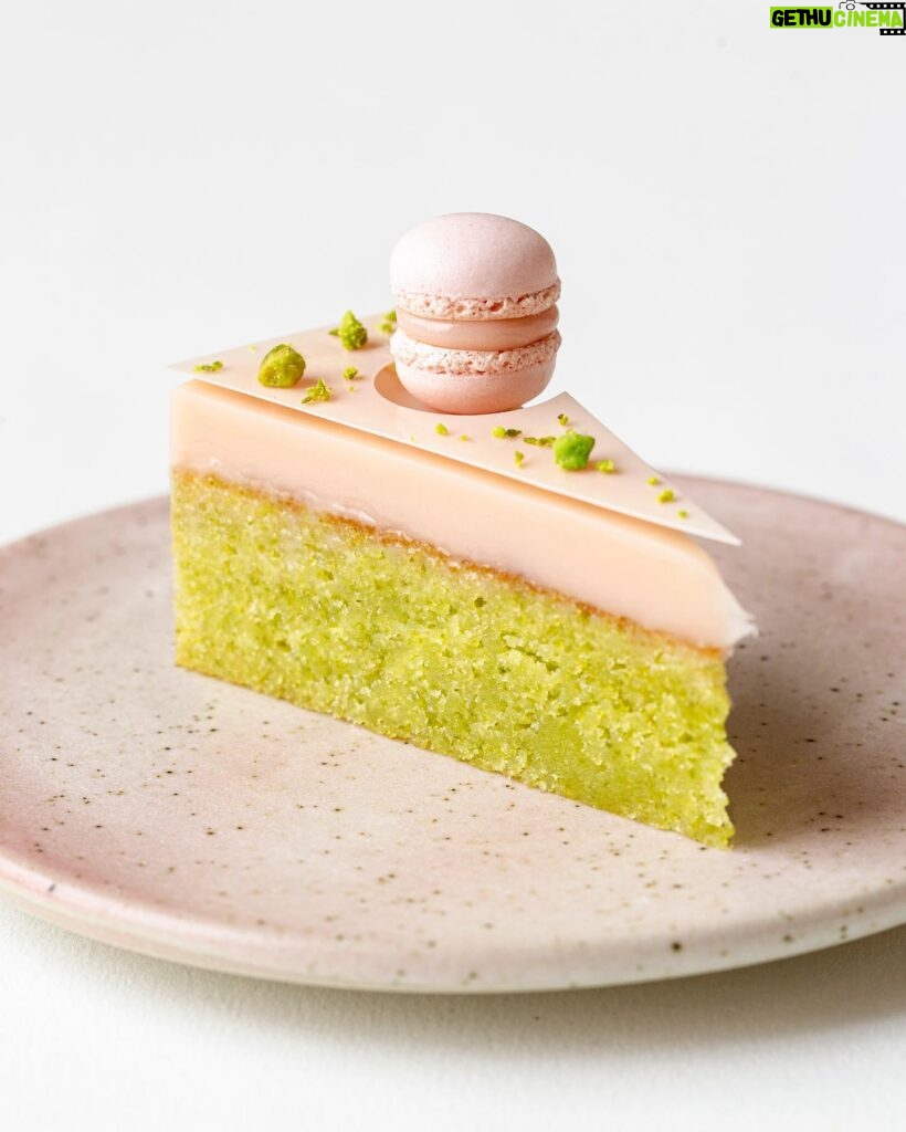 Maja Vase Instagram - Moist pistachio cake topped with silky cherry ganache 🌸 Hit the 🍒 for recipe!
