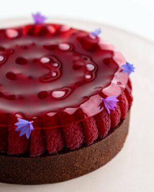 Maja Vase Instagram - Raspberry chocolate tart ❤️💃🏼 

Tusind-tusind tak for jeres kæmpe begejstring over, at jeg er gæstedommer i @den_store_bagedyst.dk 🙏🏻 I er alt for søde 💘 Håber I vil se med!🤞🏻
