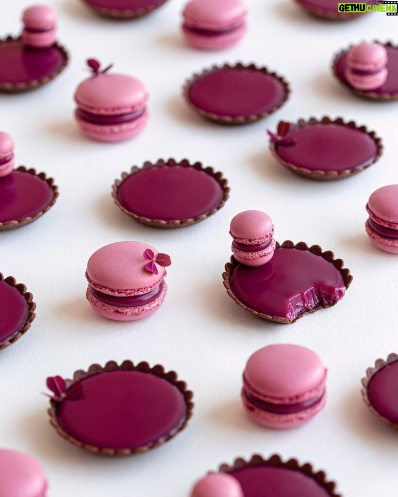 Maja Vase Instagram - Small blackcurrant dark chocolate tarts and macarons. J’adore 💘