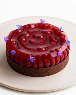 Maja Vase Instagram - Raspberry chocolate tart ❤️💃🏼 

Tusind-tusind tak for jeres kæmpe begejstring over, at jeg er gæstedommer i @den_store_bagedyst.dk 🙏🏻 I er alt for søde 💘 Håber I vil se med!🤞🏻