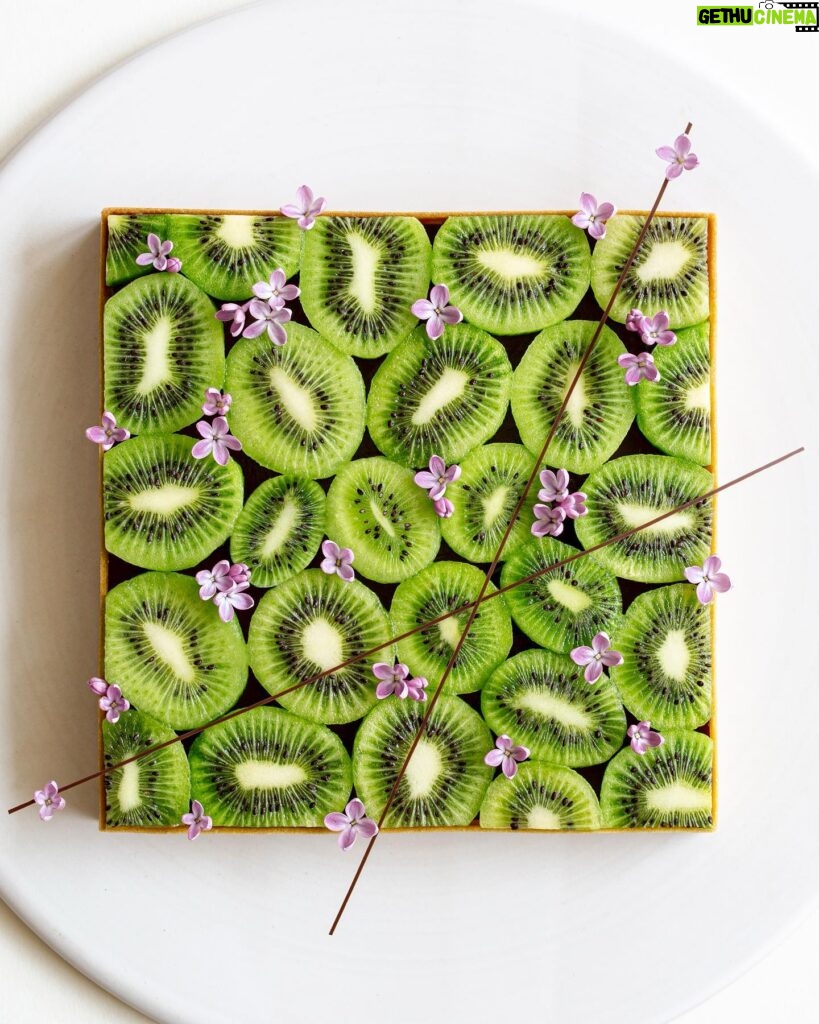 Maja Vase Instagram - A crazy kiwi vanilla version of my square strawberry tart 🥝 I couldn’t stop myself 🙈 Who likes kiwi? 🙋🏼‍♀️