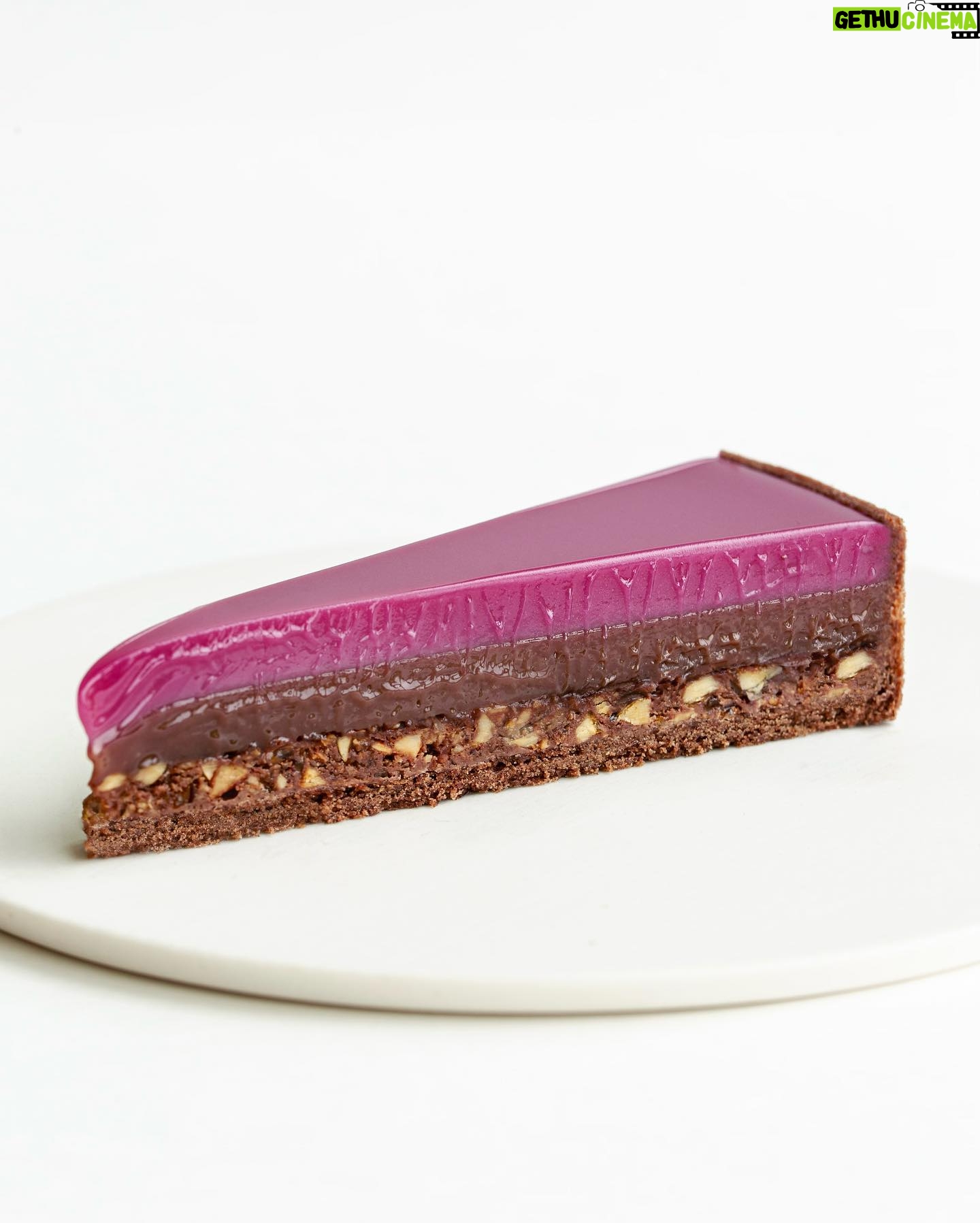 Maja Vase Instagram – Blackberry hazelnut chocolate tart 💘 My kind of ...