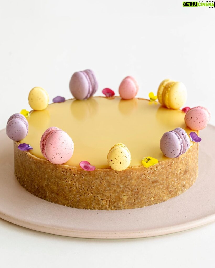 Maja Vase Instagram - Incredibly creamy and easy passion fruit Easter cheesecake 🐣 No bake, no gelatine! RECIPE for you 👇🏻🏷️ Drop a 💜, if you like it! BISCUIT BASE 150 g oat biscuits 1 pinch of salt 75 g butter  CHEESECAKE FILLING 250 g cream cheese 75 g icing sugar 150 g heavy cream 25 g passion fruit purée PASSION FRUIT GANACHE 90 g white chocolate 30 g passion fruit purée 30 g heavy cream DECORATION small Easter egg macarons edible flowers INSTRUCTIONS 👇🏻