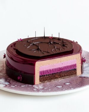 Maja Vase Instagram - Black currant chocolate cake 💘 Min kærlighedskage fra Bagedysten i lørdags 🎬 Af hjertet tusind tak for jeres kæmpe støtte! Jeg er meget rørt og overvældet over al jeres kærlighed 🥹🙏🏻💓

Opskriften er nu i min app ‘Maja Vase’ og på min hjemmeside majavase.dk ✨ 

Til alle jer nye: Kærligt velkommen til mit lille kageunivers 💖 Hvis I har spørgsmål om mig eller mine kager, så hold jer endelig ikke tilbage 👇🏻🫶🏻