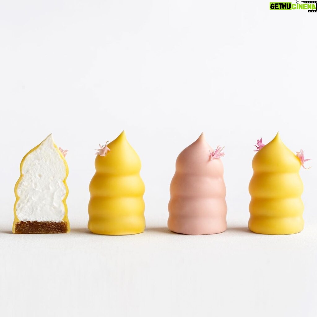 Maja Vase Instagram - Easter cream puffs #flødeboller ☁️🐣 Lemon or cherry? 🍋🍒🤷🏼‍♀️