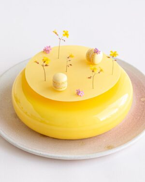 Maja Vase Instagram - Perfect Easter cake 🍋🐣🌸 with lemon, sesame, and the most cute mini macarons ✨ Recipe in my book MACARON 💕 I’ll share it in my story tonight, if you like? 🤷🏼‍♀️