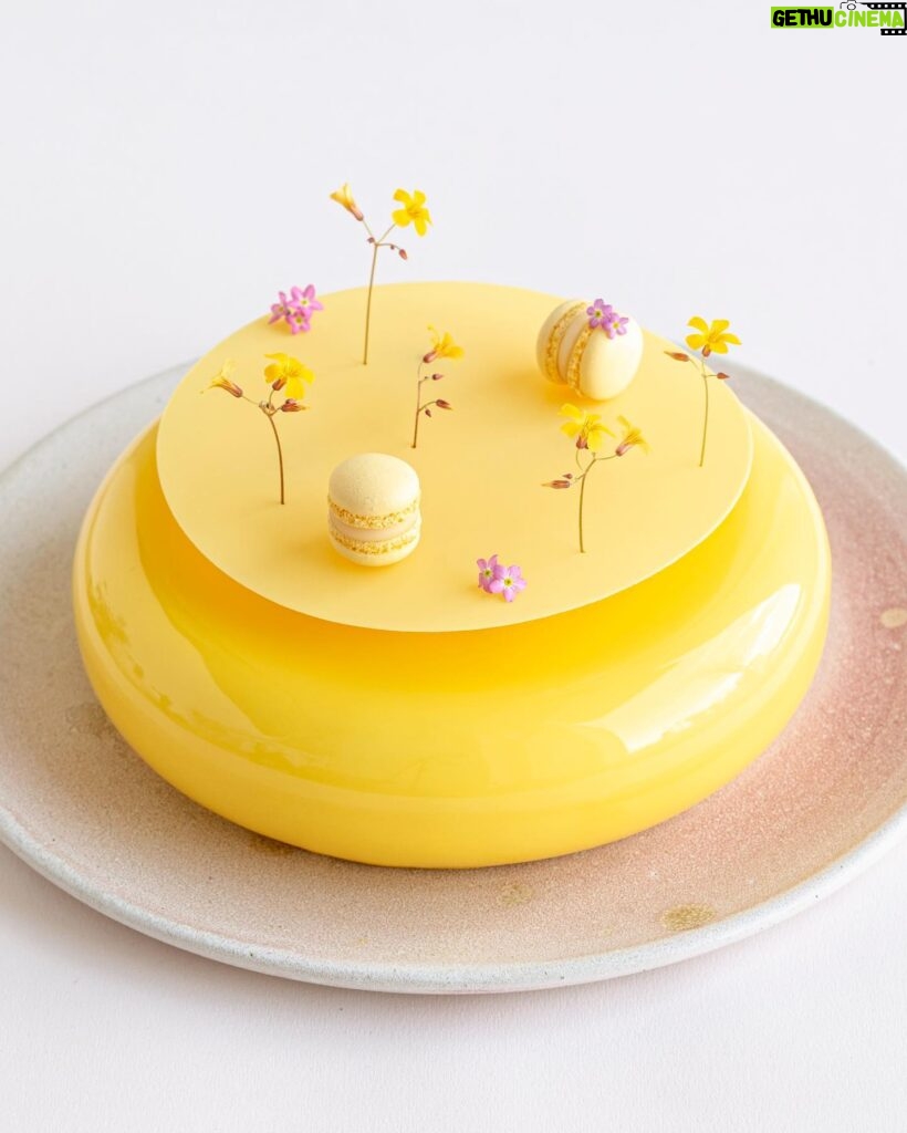 Maja Vase Instagram - Perfect Easter cake 🍋🐣🌸 with lemon, sesame, and the most cute mini macarons ✨ Recipe in my book MACARON 💕 I’ll share it in my story tonight, if you like? 🤷🏼‍♀️