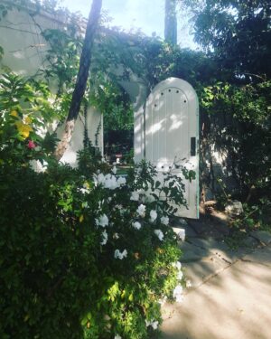 Majandra Delfino Instagram - Overwhelmed with thankfulness to get to shut the door on 2019. And so grateful I walked the long walk to the place that makes my heart sing. Turn down the noise to hear the call. Here’s to a wonderful freshy new decade of sincerely listening. ☁️