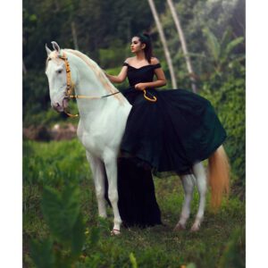 Maneesha Mahesh Instagram - The girl and the horse 🐎 🌸🌸❣❣❣❣
Photographer @nandagopan_photography 

Model @maneesha_maheshofficial

MakeUp @reenuchandramukhi @prettylooksbeautystudio

Coordinator  @artil_events @hari___ajith

Costume @ajs_attires