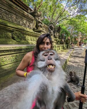 Manisha Yadav Instagram - How about you start this week with this pic-cha !! 😆🤷‍♀️.. Swipe to the 3rd pic and tell me if you also can’t get over how cuuuute the monkeys looking.😍🥰
@var.jain