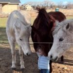 María Conchita Alonso Instagram - Reposted from @emmateu The sweetest thing... 😍💓🐴 Love is the Universal language, no words needed 💕 This precious moment between a toddler and his dearest angels warmed my heart ❤️ Just look how all the horses rush to meet him and how sweetly they greet their dearest boy by giving him the gentlest headbutt ... pure love and adoration, just priceless 😍💕 ☆ The most beautiful things in the world cannot be seen or touched, they are felt with the heart. - Antoine de Saint-Exupéry, The Little Prince ❤🐾 ☆ #sweet #adorable #pure #heartwarming #precious #Unconditionallove . . . Heartwarming vid via sunny hetrick on TT, please DM for credit or removal 🙏🤍