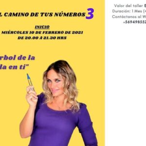 María Eugenia Larraín Instagram - Miércoles 10 Febrero 2021... se viene el taller 3 del "Camino de tus Numeros"
Un abrazo!!!