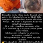 María Valenzuela Instagram – Hola! Él es Bolita, shitzu, macho de casi 3 años, este 14 de julio alrededor de las 21:30-22hs, desapareció de la vereda de su casa, ubicada en Arroyo 1193. Barrio La Esperanza. Barrio del Plata. Carlos Spegazzini. Si lo viste, retenelo, no sabe andar solito. Si lo encontraste y te lo queres quedar, pensa con tu corazón ♥️. Si lo traes con su familia vas a tener una recompensa económica. Sólo queremos que vuelva a casa, ayudalo, ayudanos. TE DEJAMOS 2 NÚMEROS A DONDE LLAMAR. 11232321- 1163606990 Lo extrañamos mucho 😭😭😭😭😭😞😞😞 DIFUNDÍ Gracias 🙏🏻🙏🏻🙏🏻