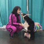 Mara Wilson Instagram - Fun at #GalaxyConColumbus! Hanging out with @kathleenherles (AKA Dora the Explorer), a cute stuffed cat, a truly creative Mrs. Doubtfire cosplayer, and an adorable dog named Sidney!