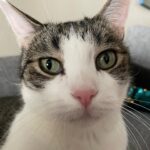 Mara Wilson Instagram - Theo hopes you have a good day, and that you treat yourself as well as you treat the ones you love.