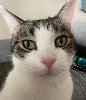 Mara Wilson Instagram - Theo hopes you have a good day, and that you treat yourself as well as you treat the ones you love.