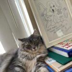 Mara Wilson Instagram – Freya enjoys great works of literature (Mo Willems and Chuck Tingle)