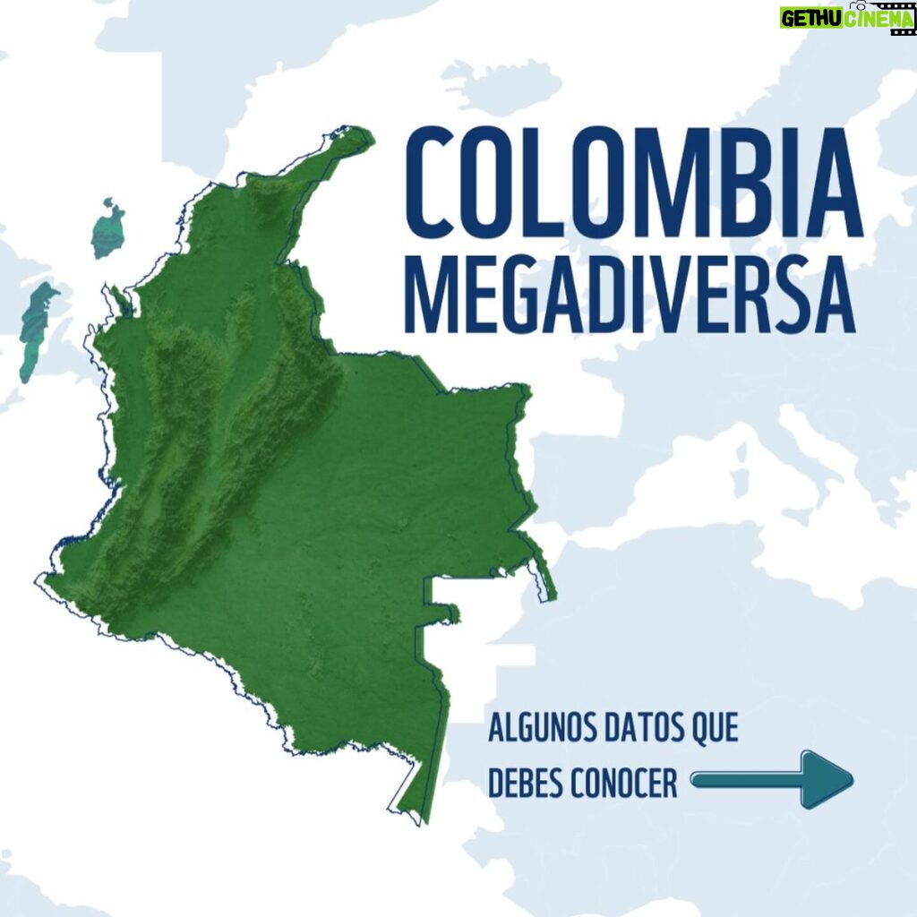 Marcela Carvajal Instagram - Sabían que hoy se celebra el día mundial de la biodiversidad!! Y Colombia es una Megapotencia!! Tenemos que aprovechar la #cop16colombia que ya se acerca y entre todos parar la destrucción que se está cometiendo en estos momentos del banco de vida que tiene nuestro país. Por ahora celebremos que Colombia es MEGADIVERSA y ayúdenme a replicar esta noticia. #happybiodiversityday #colombiamegadiverse @wwf_colombia