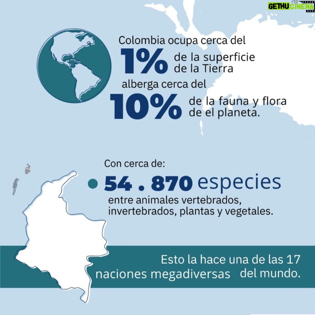 Marcela Carvajal Instagram - Sabían que hoy se celebra el día mundial de la biodiversidad!! Y Colombia es una Megapotencia!! Tenemos que aprovechar la #cop16colombia que ya se acerca y entre todos parar la destrucción que se está cometiendo en estos momentos del banco de vida que tiene nuestro país. Por ahora celebremos que Colombia es MEGADIVERSA y ayúdenme a replicar esta noticia. #happybiodiversityday #colombiamegadiverse @wwf_colombia